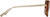 Side view of Cat-Eye Sunglasses 1153415 in Brown thumbnail