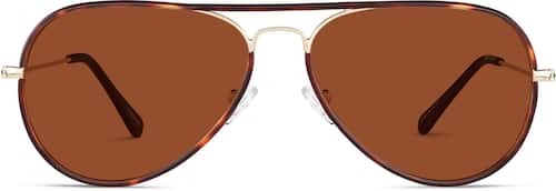 Premium Aviator Sunglasses 1126816