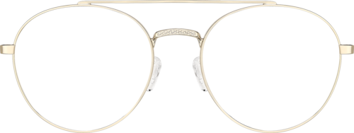Aviator Sunglasseslens frame image