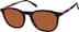 Round Sunglasses 116125 in Tortoiseshell