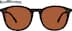 Square Sunglasses 116125 in Tortoiseshell