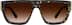 Campbell 1165825 in Tortoiseshell