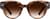 Front view of Dare to Be 1166425 in Tortoiseshell thumbnail