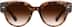 Dare to Be 1166425 in Tortoiseshell