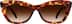 Cat-Eye Sunglasses 1167225 in Tortoiseshell