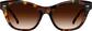 Front view of Cat-Eye Sunglasses 117425 in Tortoiseshell thumbnail