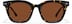 Square Sunglasses 117925 in Tortoiseshell