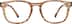 Square Glasses 123415 in Brown