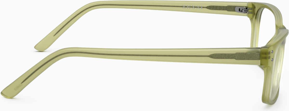 Side view of Rectangle Glasses 124524 in Palm thumbnail