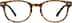 Square Glasses 125625 in Tortoiseshell