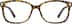 Square Glasses 126225 in Tortoiseshell