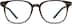Square Glasses 127925 in Tortoiseshell