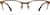 Front view of Browline Glasses 161715 in Brown thumbnail