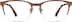 Browline Glasses 161715 in Brown