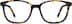 Square Glasses 188325 in Tortoiseshell