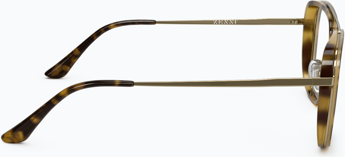 Side view of Aviator Glasses 1913825 in Tortoiseshell thumbnail