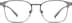 Browline Glasses 1915412 in Gray