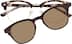Browline Sunshade 1915725 in Tortoiseshell