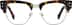 Vanguard 1916525 in Tortoiseshell