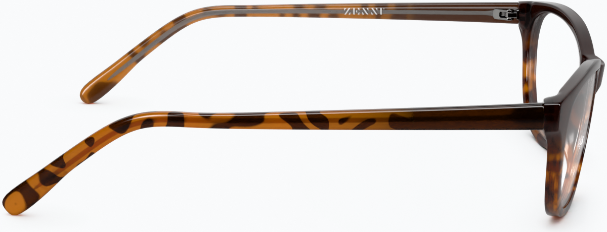 Side view of Oval Glasses 2017025 in Tortoiseshell thumbnail