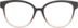 Square Glasses 2019115 in Brown