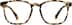 Square Glasses 2020125 in Tortoiseshell