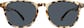 Image of Square Glasses thumbnail