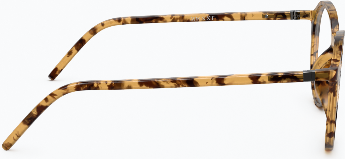 Side view of Round Glasses 2020825 in Tortoiseshell
