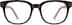 Square Glasses 2023215 in Brown