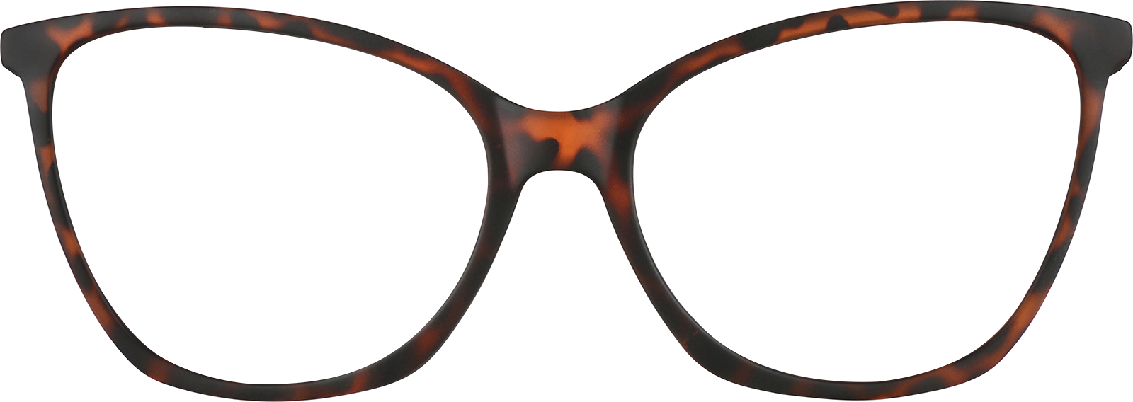 Front view of Cat-Eye Glasses 2023425 in Tortoiseshell