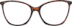 Cat-Eye Glasses 2023425 in Tortoiseshell