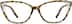 Cat-Eye Glasses 2025425 in Tortoiseshell