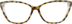 Cat-Eye Glasses 2025425 in Tortoiseshell