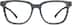 Square Glasses 2026612 in Ash