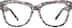 Square Glasses 2026739 in Black