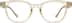 Square Glasses 2029515 in Honey