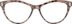 Cat-Eye Glasses 2030019 in Blush