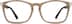 Square Glasses 2031215 in Latte