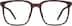 Square Glasses 2031715 in Brown