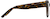 Side view of Square Glasses 2032425 in Tortoiseshell thumbnail