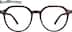 Sargasso 2038625 in Tortoiseshell