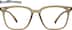 Andaman 2039115 in Brown
