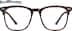 Bering 2039325 in Tortoiseshell