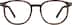 Square Glasses 2041325 in Tortoiseshell