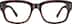 Buckets 2043525 in Tortoiseshell