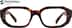 Geometric Glasses 2045525 in Tortoiseshell