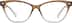 Cat-Eye Glasses 2045715 in Brown