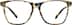 Square Glasses 2046039 in Tortoiseshell