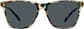 Image of Square Glasses thumbnail
