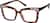 Angle view of Square Glasses 2047025 in Tortoiseshell thumbnail
